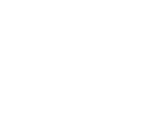 USAA Logo